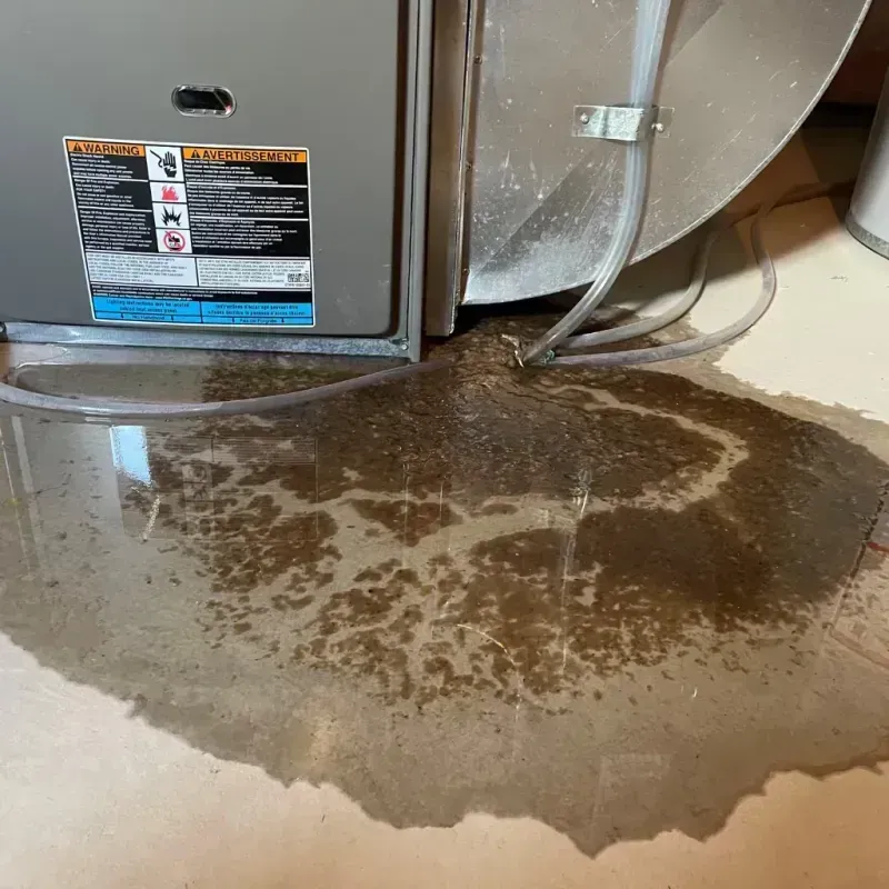 Appliance Leak Cleanup in Warren Township, NJ